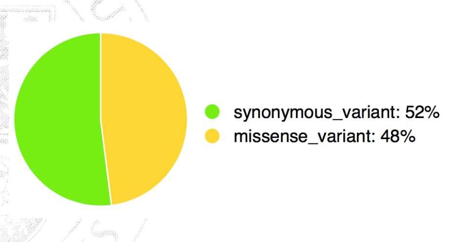 SEQUENCE ONTOLOGY TERMS Rasowo