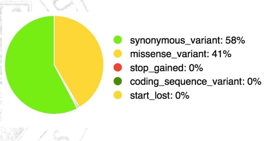 SEQUENCE ONTOLOGY TERMS Rasowo