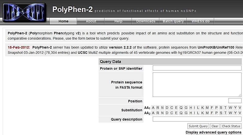 INNE ŹRÓDŁA INFORMACJI PolyPhen