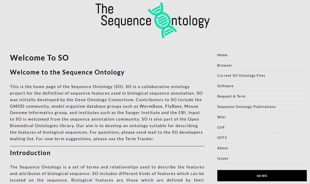 SEQUENCE ONTOLOGY TERMS