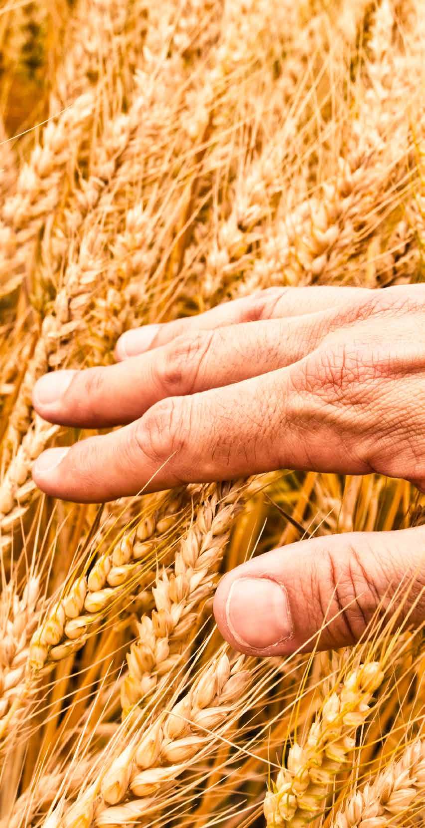 sprawności, bezawaryjności i wydajności obiektów FEERUM Troska o środowisko naturalne poprzez zmniejszenie hałasu i zapylenia towarzyszących procesowi suszenia Dalsza automatyzacja procesów