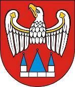 OTWARTY KONKURS OFERT Na podstawie art. 11 ust. 2 ustawy z dnia 5 sierpnia 2015 r. o nieodpłatnej pomocy prawnej oraz edukacji prawnej (Dz. U. z 2015 r., poz. 1255 z późn. zm.), art.
