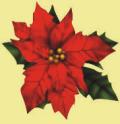 ST. THOMAS BECKET ANNUAL GIVING TREE Please return gi%s by this weekend. Your generous gi%s will be distributed among the following: Catholic Chari!es, Robert Frost School, and WINGS an organiza!