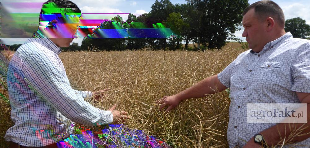 Ochrona rzepaku przed chwastami - jakie zmiany w najbliższym sezonie? Autor: Katarzyna Szponar Data: 21 sierpnia 2017 Ochrona rzepaku przed chwastami nie jest łatwa. Zbliża się nowy sezon produkcyjny.