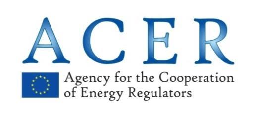 Ogłoszenie o naborze na stanowisko Informatyk w Agencji ds. Współpracy Organów Regulacji Energetyki NR REF.