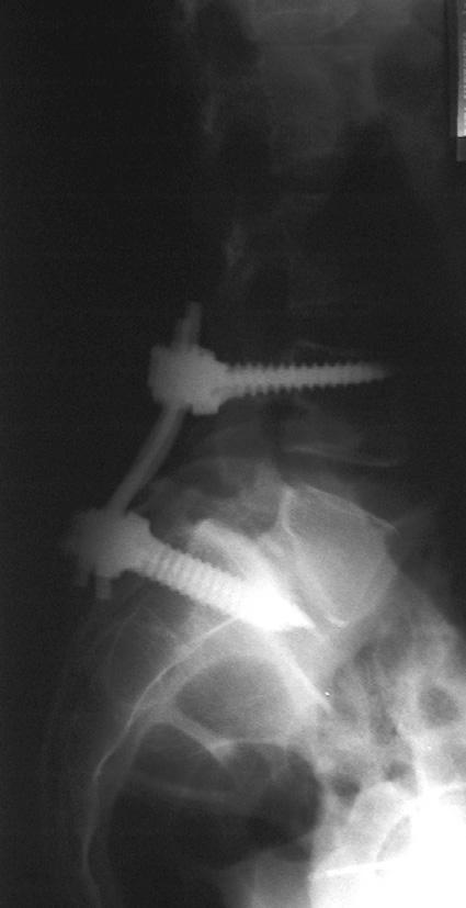 Skowroñski J. i et al.