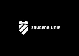 - 100% większościowy udziałowiec w spółkach zależnych kreuje i wdraża strategie biznesowe i finansowe w spółkach zależnych Podzespoły dla motoryzacji i komponenty Armatura i automatyka przemysłowa