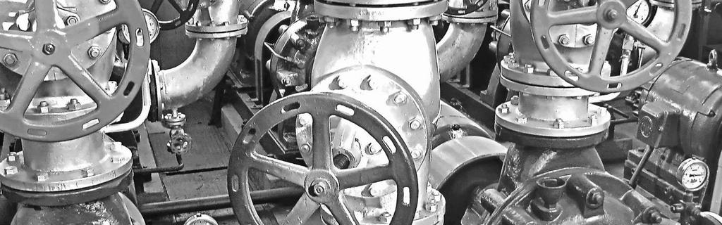 Odbiorcami finalnymi produktów tego segmentu są przede wszystkim globalni producenci z branży motoryzacyjnej i metalowej.