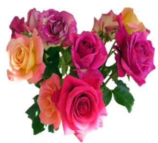 PAGE FOUR THIS WEEK IN THE PARISH SATURDAY, NOVEMBER 17...Rosary Society - Bake Sale & Calendar Raffle - after all the Masses Lower Basilica...Blessing of Marriages - "Choice Wines" Program - 6:00 P.