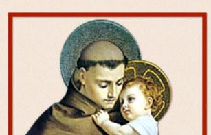 ..Scrapbooking Club - 12 Noon - 4:00 P.M. - School Cafeteria...Bilingual Prayer Service - 2:00 P.M. - Cemetery MONDAY, NOVEMBER 19...Morning Star Family Adoration - 6:30 P.M. - Lower Basilica TUESDAY, NOVEMBER 20.