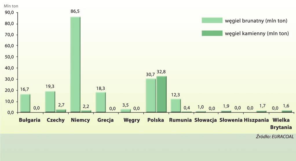 , z czego większa część wydobycia wykorzystywana jest do produkcji energii elektrycznej, tj. 4,9 mln ton.
