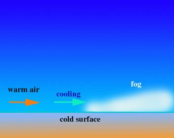 Mgła adwekcyjna to mgła powstająca przy napływie wilgotnej i stosunkowo ciepłej masy powietrza nad chłodniejsze podłoże.