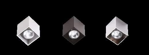 PET SQUARE 353 C0084