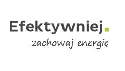 Opracowanie wykonane przez: EFEKTYWNIEJ S.C. Ul. Okrężna 26 53-008 Wrocław www.efektywniej.