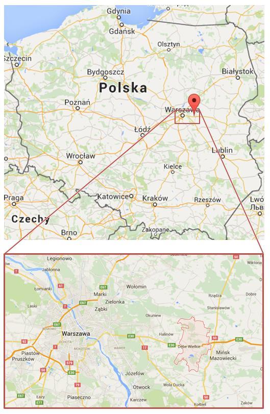 Rysunek 1.