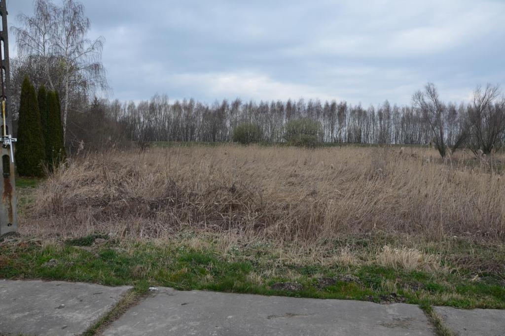 6. Widok na działkę inwestycyjną