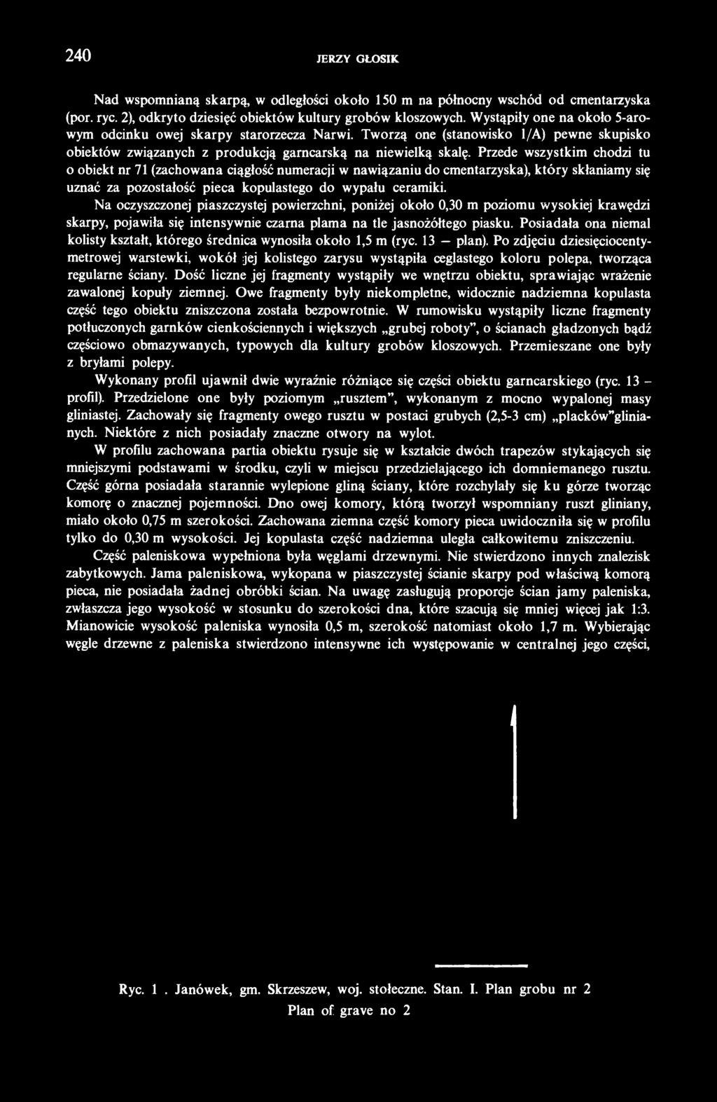 Przede wszystkim chodzi tu o obiekt nr 71 (zachowana ciągłość numeracji w nawiązaniu do cmentarzyska), który skłaniamy się uznać za pozostałość pieca kopulastego do wypału ceramiki.