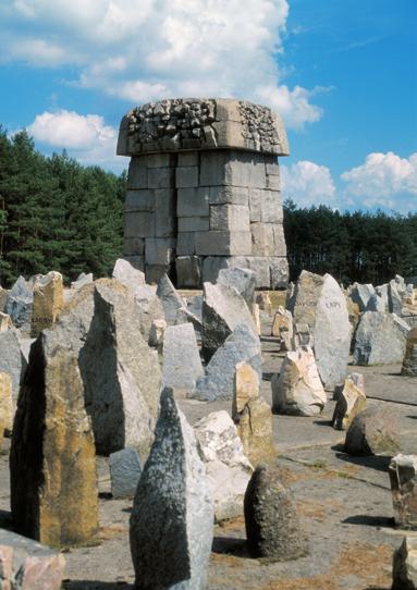 ruiny zamku krzyżackiego, czyli poniemieckiego, dzięki czemu aronia została uratoana. W 1963 roku postało na zamku muzeum istoryczne.