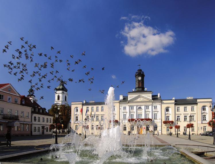 W 1793 roku, yniku drugiego rozbioru Polski, Płock dostał się pod panoanie Prus. Tym samym zaczęła się germanizacja.