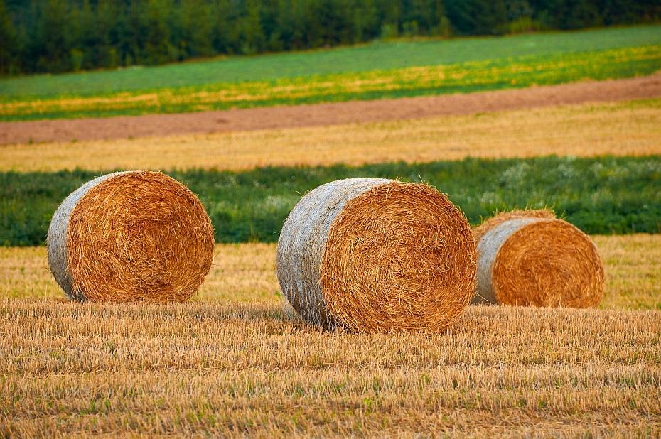 Głównym postulatem Unii Europejskiej, a także Polski, w zakresie polityki energetycznej jest ograniczenie emisji gazów cieplarnianych.