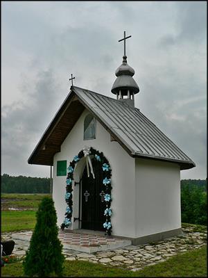 Niezdara