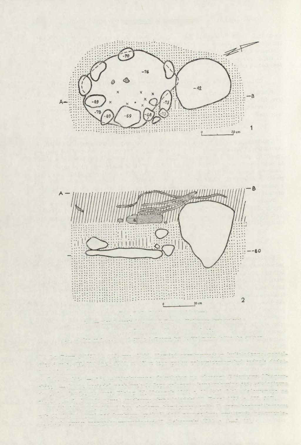168 MIROSŁAW J. HOFFMANN Rye. 7. Sorkwity, woj. Olsztyn: 1, 2 plan i przekrój grobu 9. Rys. A. Hoffmann (wg autora) Fig. 7. Sorkwity, Olsztyn province: 1, 2 plan and section of grave 9. Drawn by A.