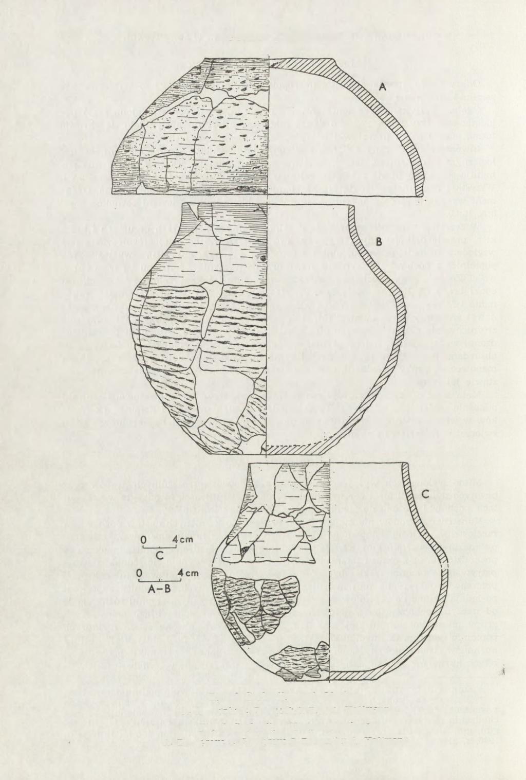 170 MIROSŁAW J. HOFFMANN Ryc. 8.