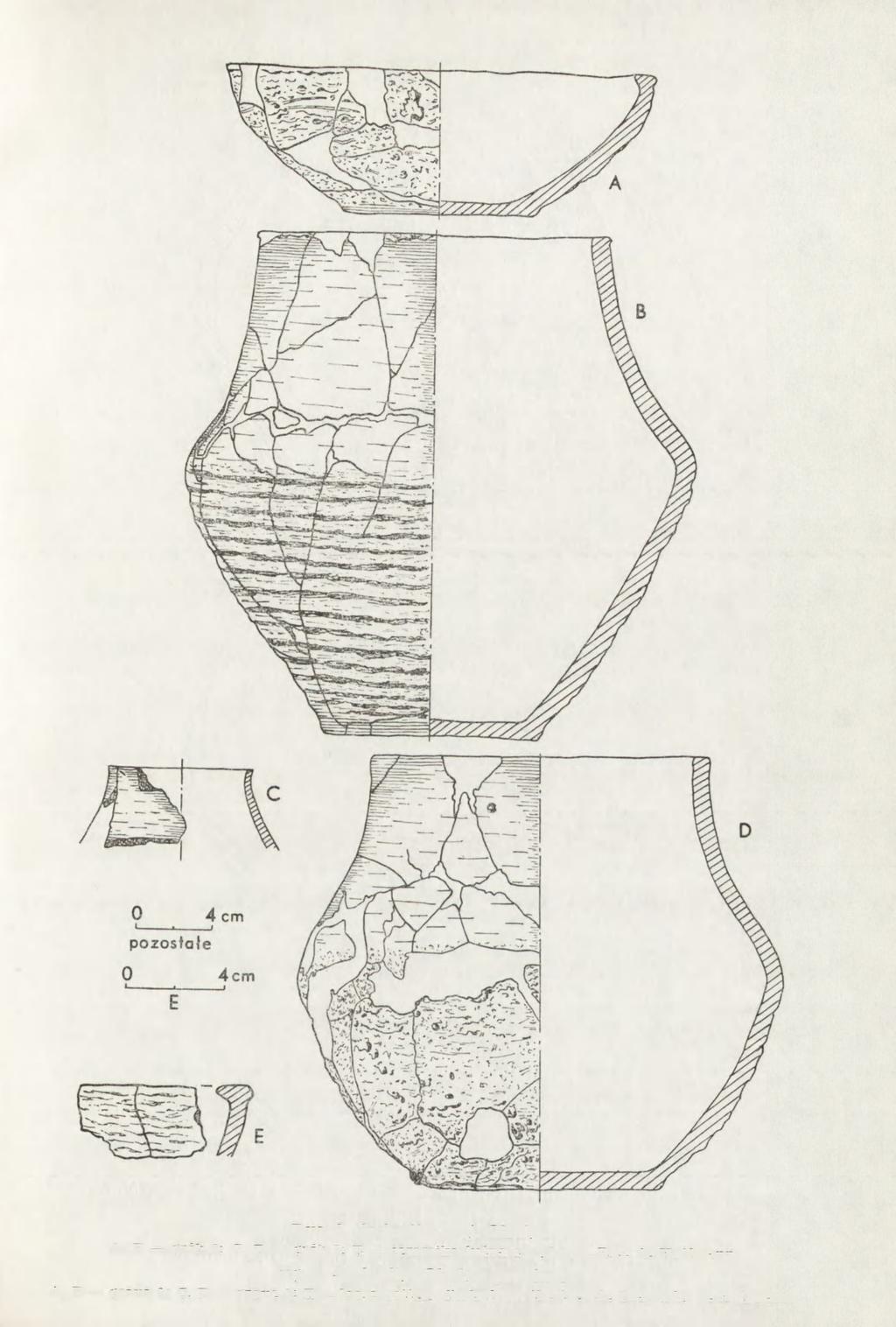 Ryc. 9. Sorkwity, woj.