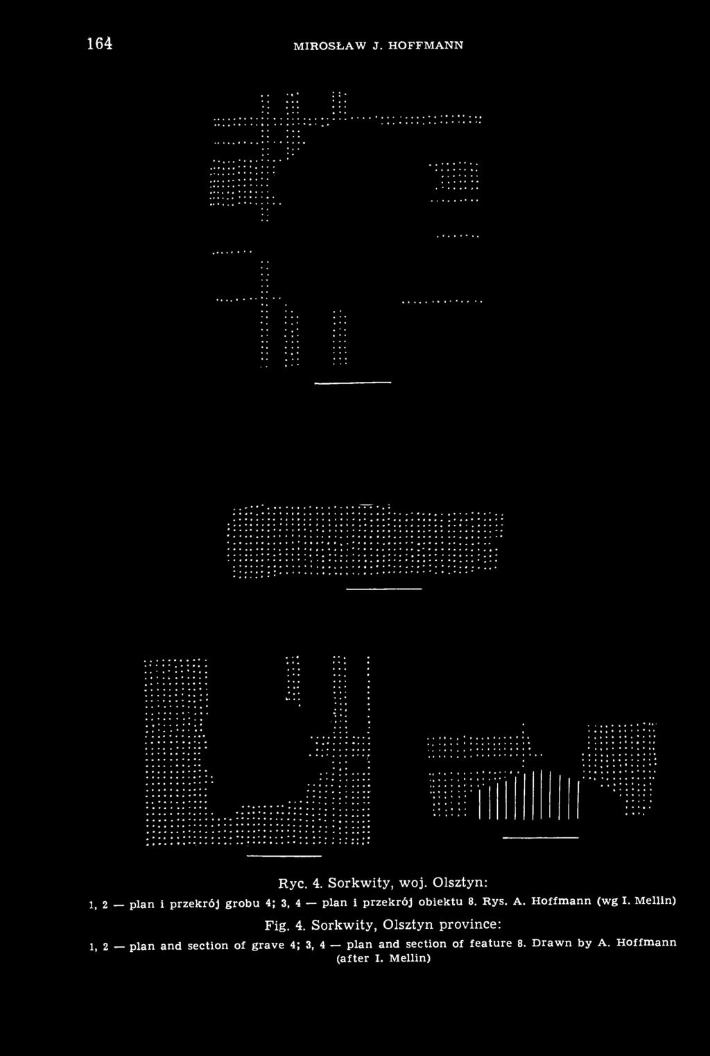 Rys. A. Hoffmann (wg I. Mellin) Fig. 4.