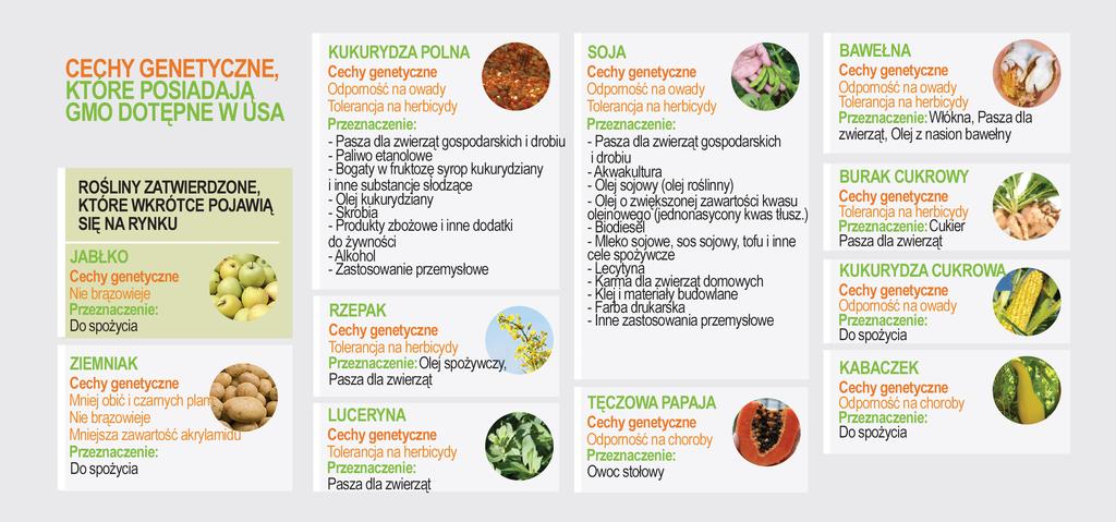 CO TO SĄ GMO?