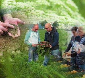 We wszystkich sprawach związanych z produkcją naszych odmian polecamy Państwu kontakt z naszymi przedstawicielami regionalnymi.