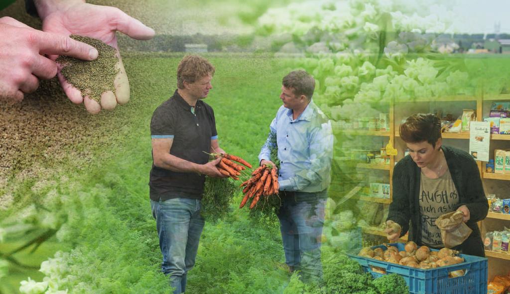 Zrównoważona uprawa z wysokim plonem, akceptowalna jakość i finalnie- zdrowe i smaczne pożywienie, to wszystko zaczyna się od najlepszych nasion najlepszych odmian. PRAWIDŁOWO OD POCZATKU.