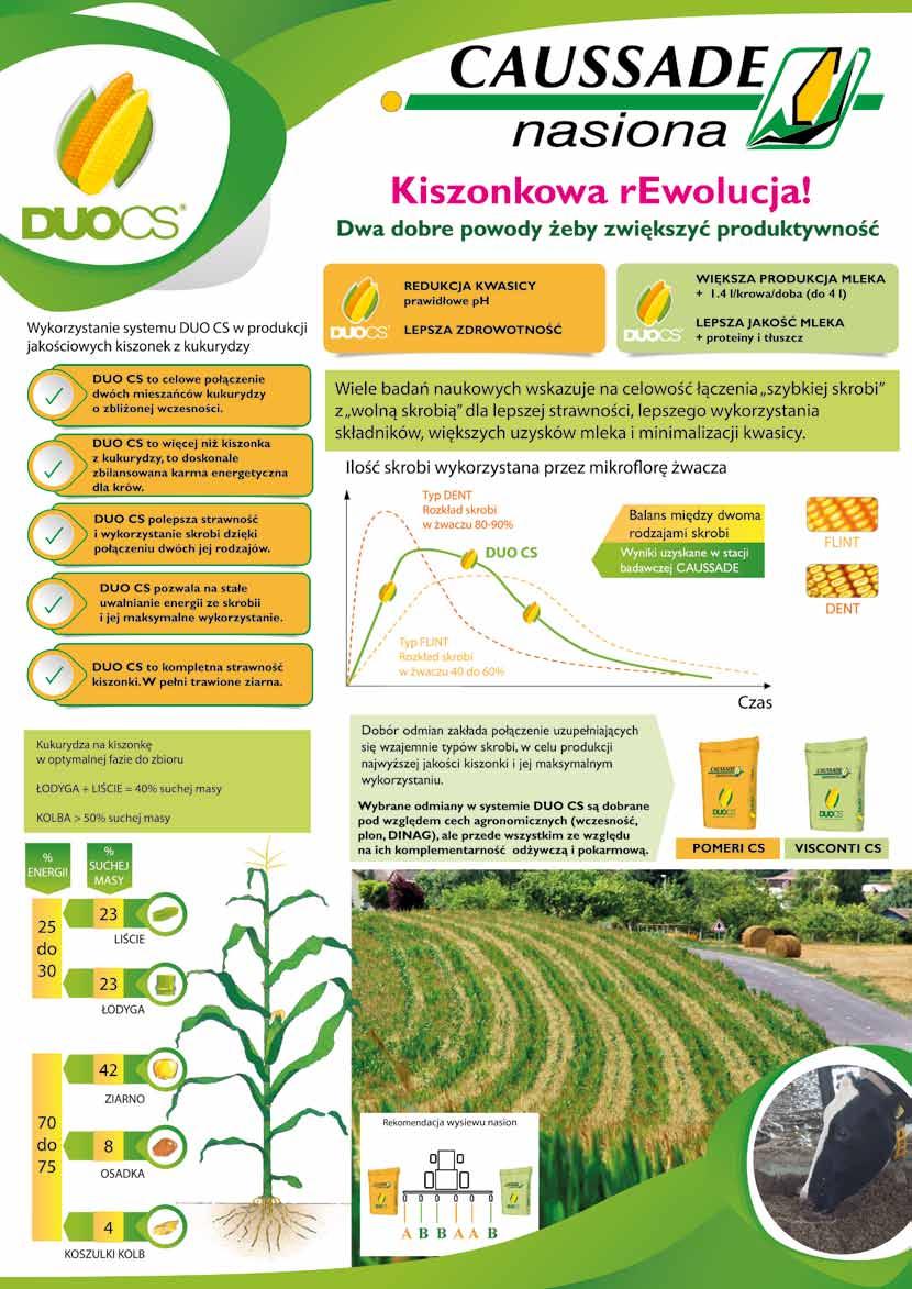 katalog agrotechniczny Kukurydza 09 FAO 0 kiszonka grys biogaz POMERI CS Rejestracja: Francja, Niemcy 0 Hodowla: Caussade Moc energii znakomite parametry energetyczne kiszonki zdrowotność, odporna na