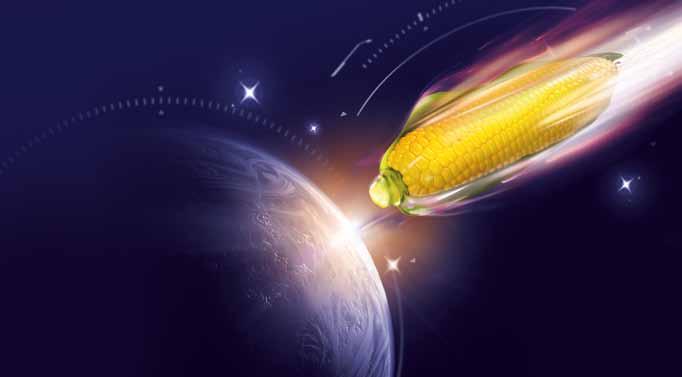 FAO 0 0 ES METEORIT Kosmiczne plony Rejestracja: Polska 0 Hodowla: Euralis ZDROWOTNOŚĆ genetyka Tropical Dent Corn Hybrid gwarancja bardzo