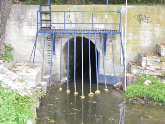 6 a b Rys. 3. Wlot do przepustu: a krata czysta, b krata zanieczyszczona Fig. 3. Culvert intake: a clean grille, b stuffy grille 38,0 cm, a głębokość wody na wlocie h w = 0,10 m; odpowiadało to przepływowi Q 0,036 m 3 /s.