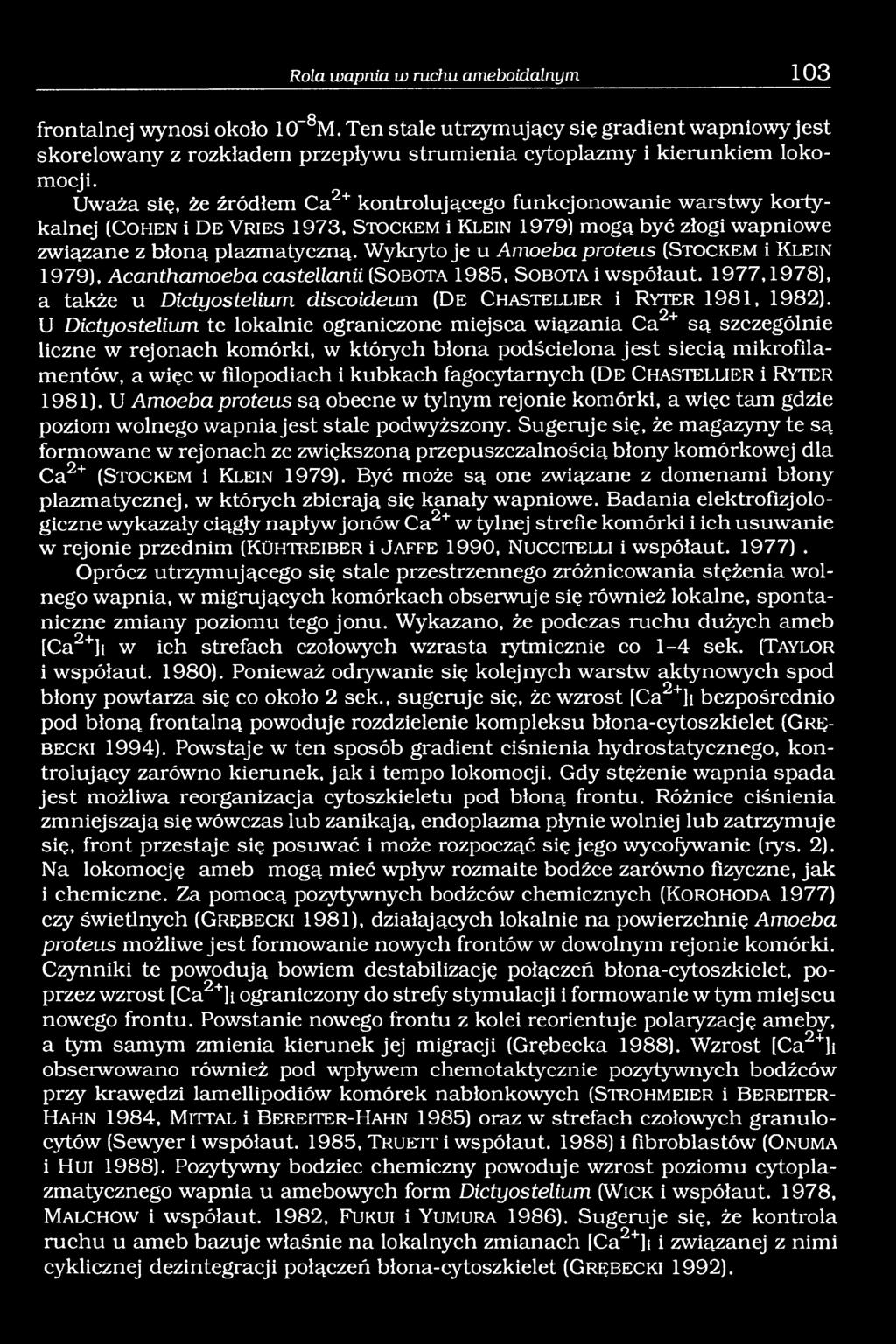 Wykryto je u Amoeba proteus (S t o c k e m i K l e i n 1979), Acanthamoeba castellanii (S o b o t a 1985, S o b o t a i współaut.