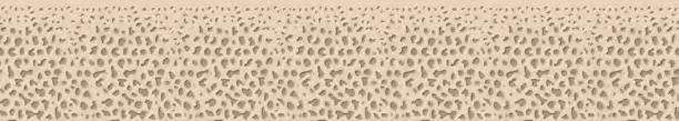5.1.2 Implant Stożkowy Bone Level 3.3 mm NC Straumann 5.1.3 Straumann Bone Level Tapered 4.