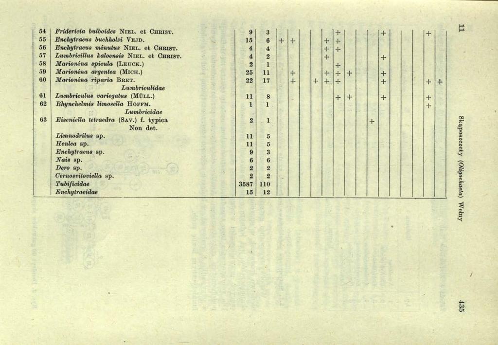 34 Fridericia bulboides N i e l. e t Ch r is t. 9 55 Enchyłraeus buchholsi Ve j d. 15 56 Enchytraeus m inutus N i e l. e t Ch r is t. 4 57 Lumbricillus kałoensis N i e l. e t Ch r is t. 4 58 M arionina spicula (L e u c k.