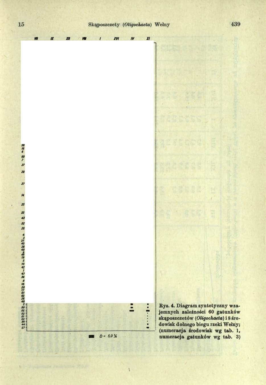 15 Skąposzczety (Oligoohaela) Wełny 439 w ix n m i /ri iv xi is s s s g s - is B s s s s s - ik S -ie