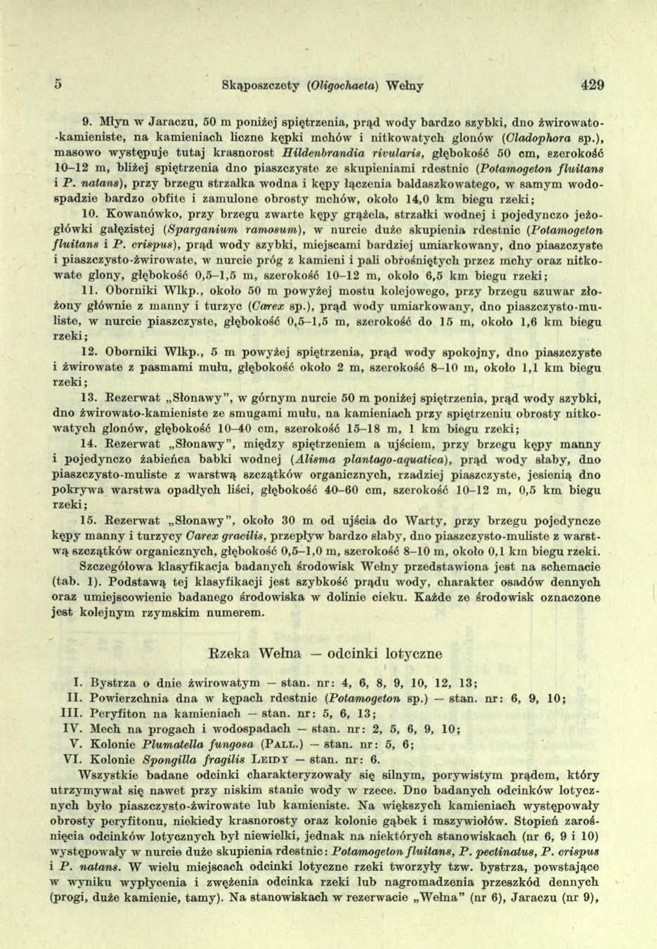 Skąposzczety (Oligochaeła) Wełny 429 9.