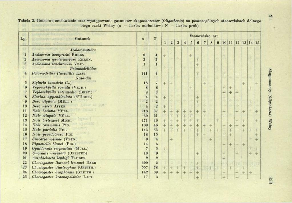 Tabela 3. Ilościowe zestaw ienie oraz w ystępowanie gatunków skąposzczetów (Oligochaeta) n a poszczególnych stanow iskach dolnego biogu rzeki W ełny (n liczba osobników; N liczba prób) Lp.
