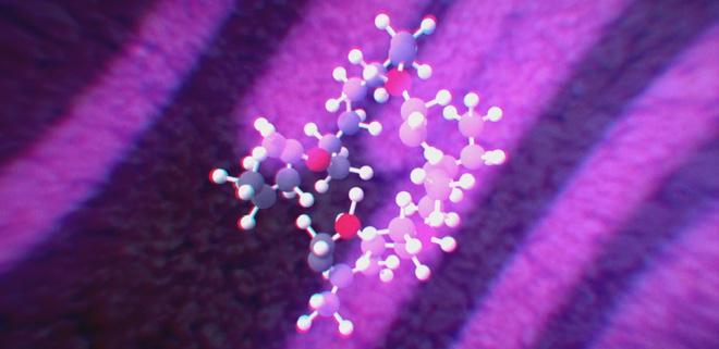 Dzięki zwiększeniu liczby lamp UV-C do ściśle określonego poziomu, zapachy przenoszone z powietrzem stają się tak nikłe, że może nie być już konieczne usuwanie go przez dach.