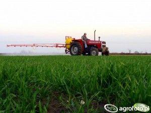 .pl https://www..pl Źródło: AgroFoto.pl, jakub1141 Skoro środki ochrony roślin są szkodliwe, to czemu producenci agrochemikaliów mówią, że one nie szkodzą?
