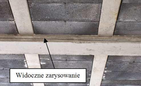Z uwagi na panujące w tym okresie w ciągu dnia temperatury powyżej 30 C, rozstawiono zraszacze wodne, które były uruchamiane na 30 min w odstępach co 4 godziny w ciągu dnia.