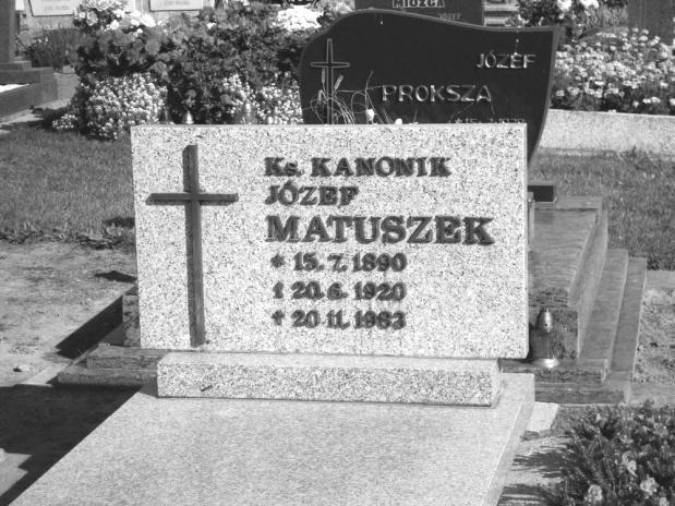 Śląsk prawdziwy Przez Wiedeń, Chorwację do armii polskiej Ksiądz J. Matuszek czekał w zbożu cały dzień, potem wyjechał sam do Wiednia. Tam ukrył się w klasztorze, u swojej siostry.