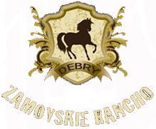 HALOWE REGIONALNE ZAWODY W SKOKACH PRZEZ PRZESZKODY KJ DEBRY LIPINA NOWA -.0.