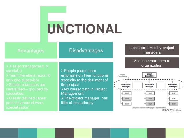 Functional Organization Joanna