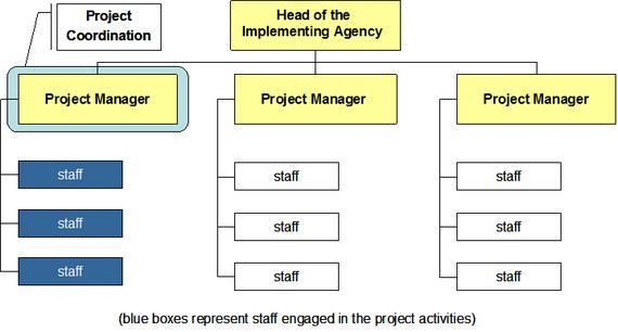 Projectized organization - zarządzanie Joanna