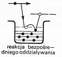 Reakcje bezpośredniego oddziaływania (reakcje wprost, reakcje direct)