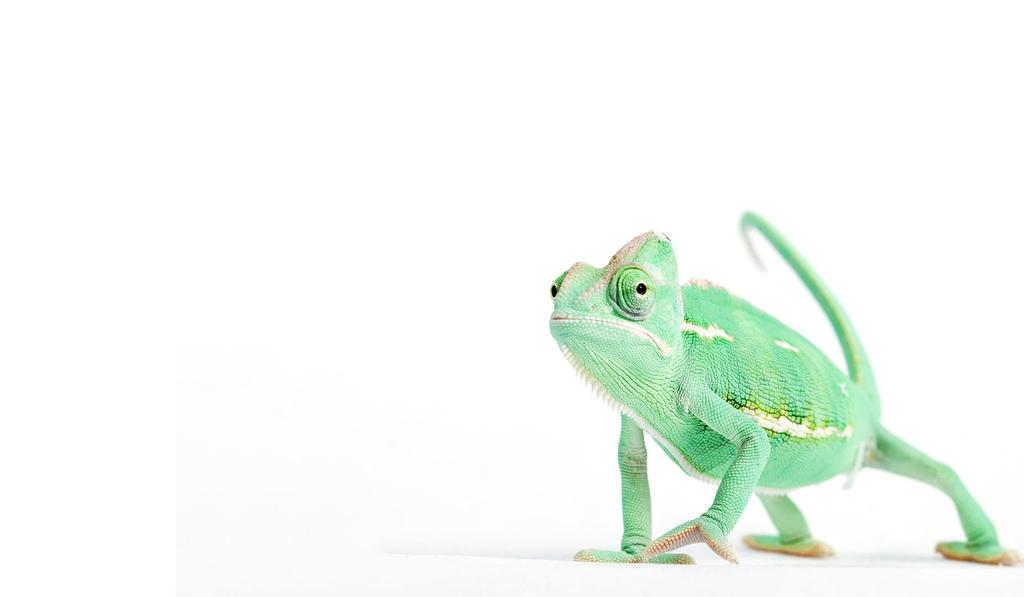 Możliwe migracje SUSE Linux Enterprise Server 15 W trybie offline z: SUSE Linux Enterprise Server